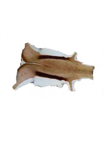 gazelle skin