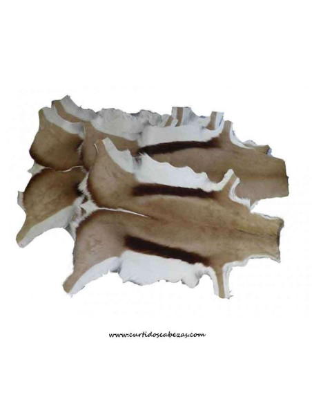 Gazelle Skin