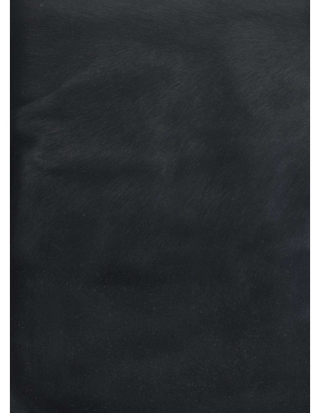 PELE DE POTRO, PELO PRETO