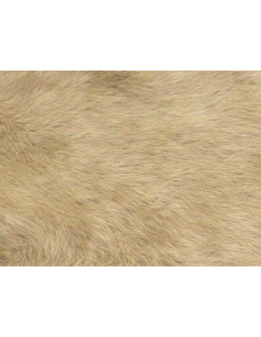 BEIGE COLOR
