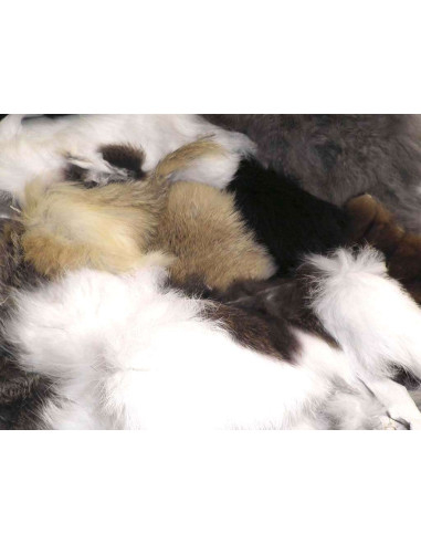 SCAGLIE DI PELLE DI CONIGLIO