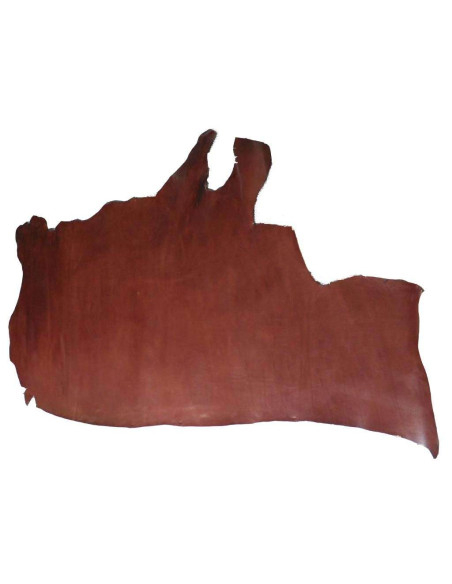 PIEDS DE FEUILLES DE VAQUETILLA. NOISETTE