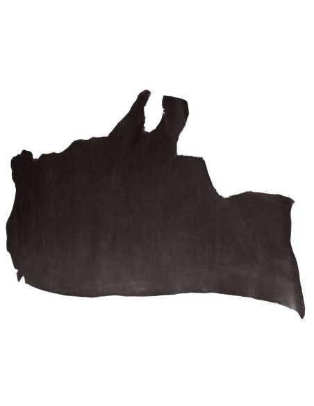PIEDS DE FEUILLES DE VAQUETILLA. C/NOIR