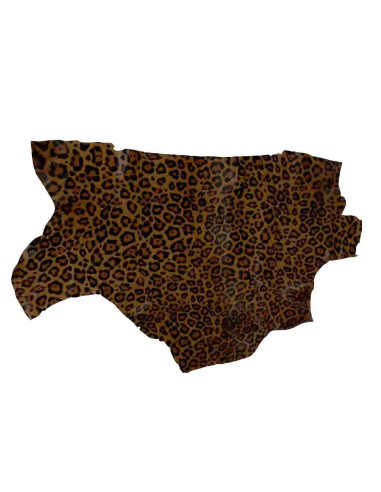 MORCEAU DE PEAU DE CHEVEUX. PIÈCES.