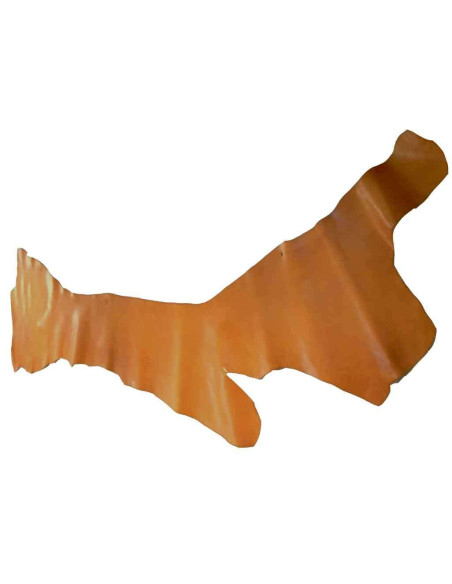 COW IN SKIRT. AVANCORPIS