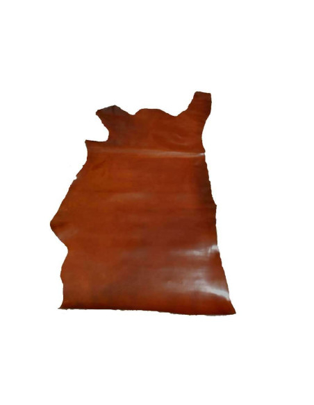 PEAU DE POULAIN COULEUR NOISETTE
