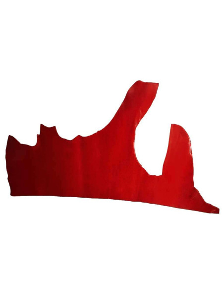 JUPE DE COWBOY ROUGE