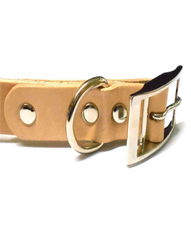 KIT PARA FAZER UMA COLEIRA DE CACHORRO