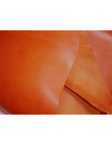 FEUILLES DE VAQUETILLA COULEUR CUIR