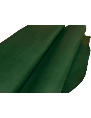 FEUILLES DE VAQUETILLA VERTES