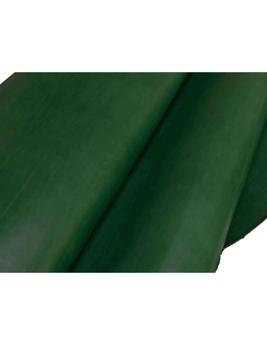 FEUILLES DE VAQUETILLA VERTES