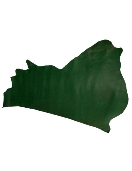 FEUILLES DE COULEUR VERTE DE VAQUETILLA