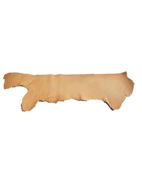 SAIA DE CAVALO