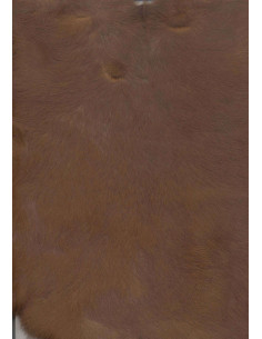 Bandes de pell de conill 2