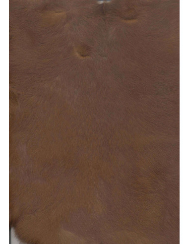 Bandes de PELL DE CONILL, Diversos COLORS