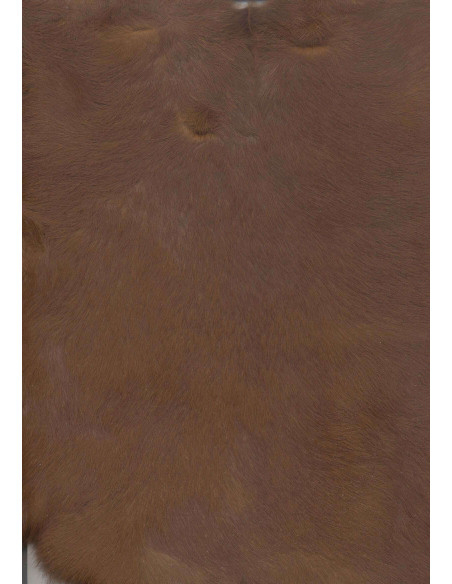 Bandes de PELL DE CONILL, Diversos COLORS