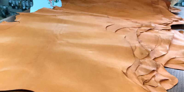 Processus de tannage de la peau de cerf. Une tradition artisanale